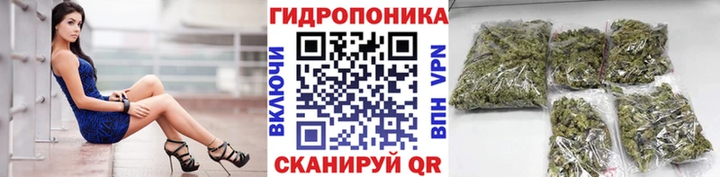OMG ТОР  цены   Зея  Бошки марихуана планчик 